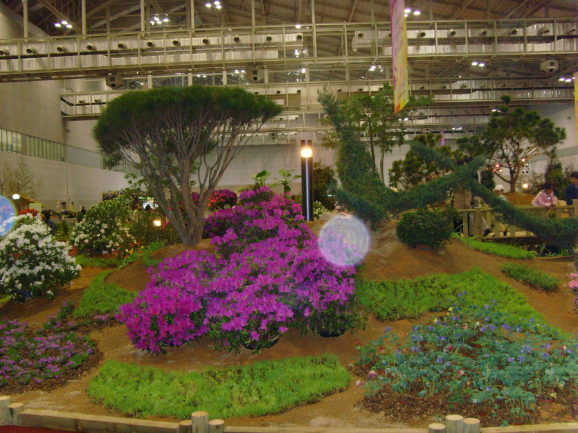 snv30685_copy2.jpg