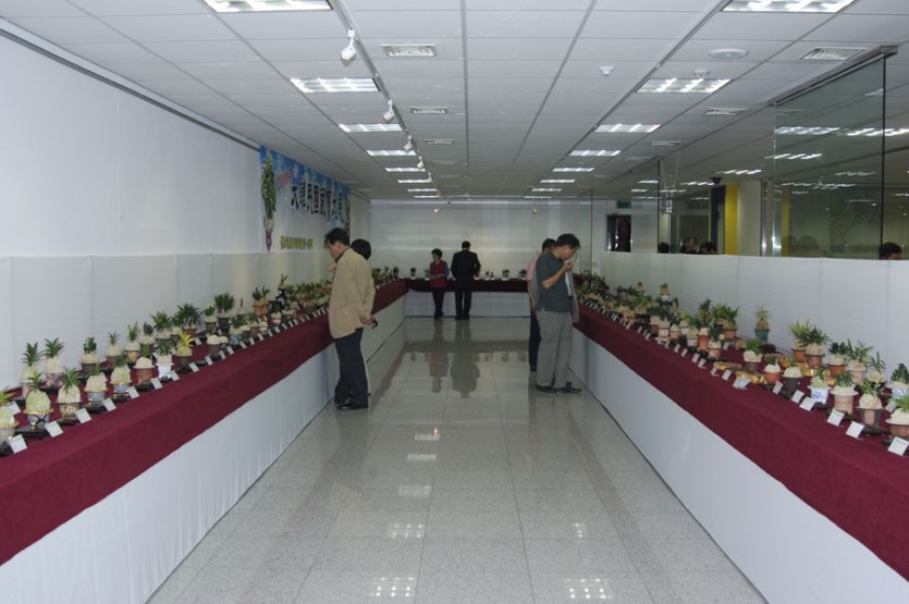 _dsc0006.jpg